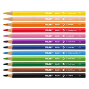 BOX 12 MAXI COLOURED PENCILS