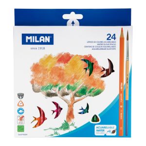 24 WATER SOLUBLE COL PENCILS