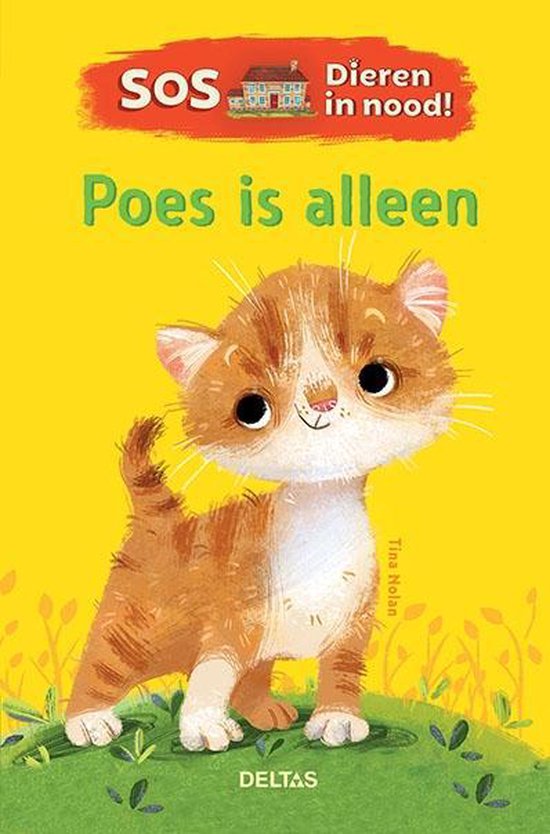 SOS DIEREN IN NOOD! :POES IS ALLEEN