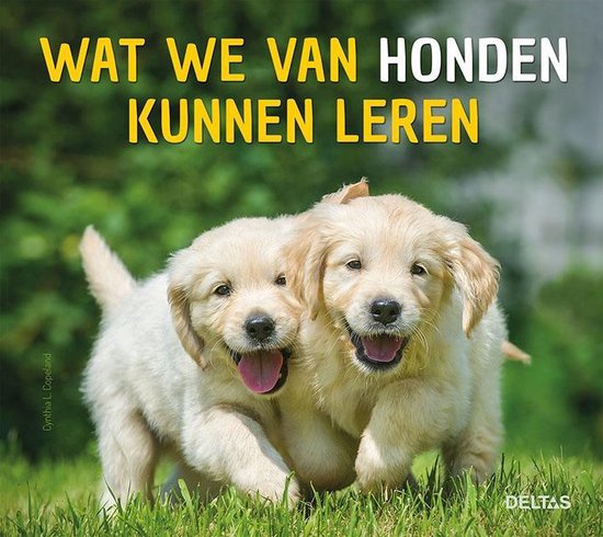 WAT WE VAN HONDEN KUNNEN LEREN